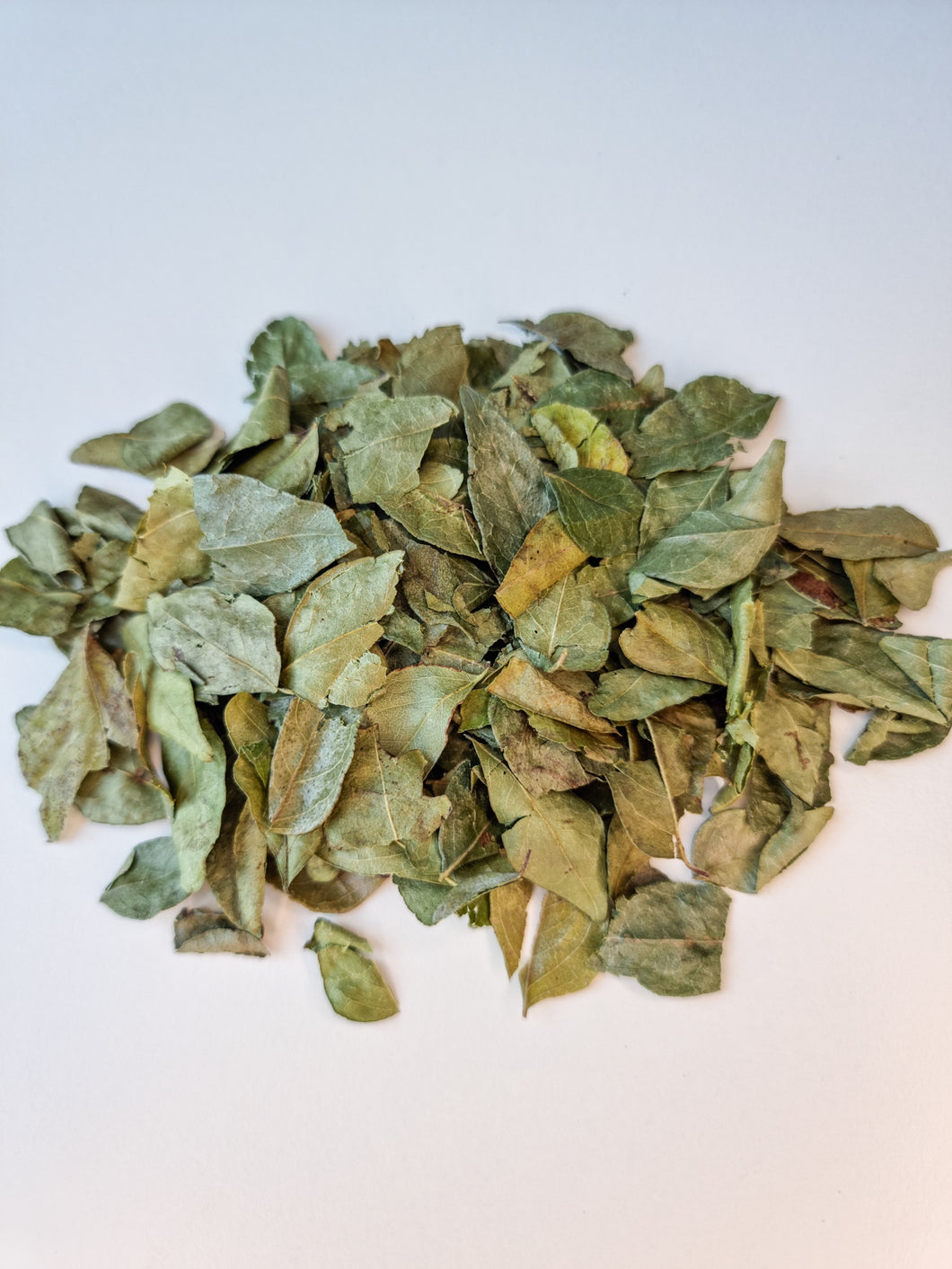 Curry Leaves- Organic