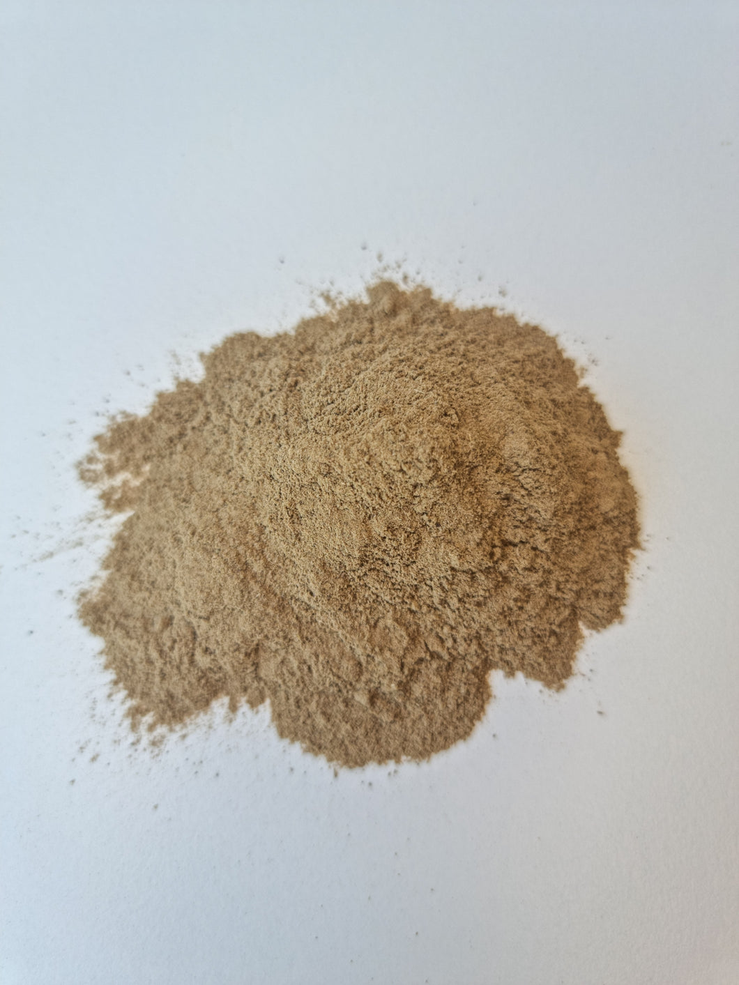 Brahmi Powder- Organic