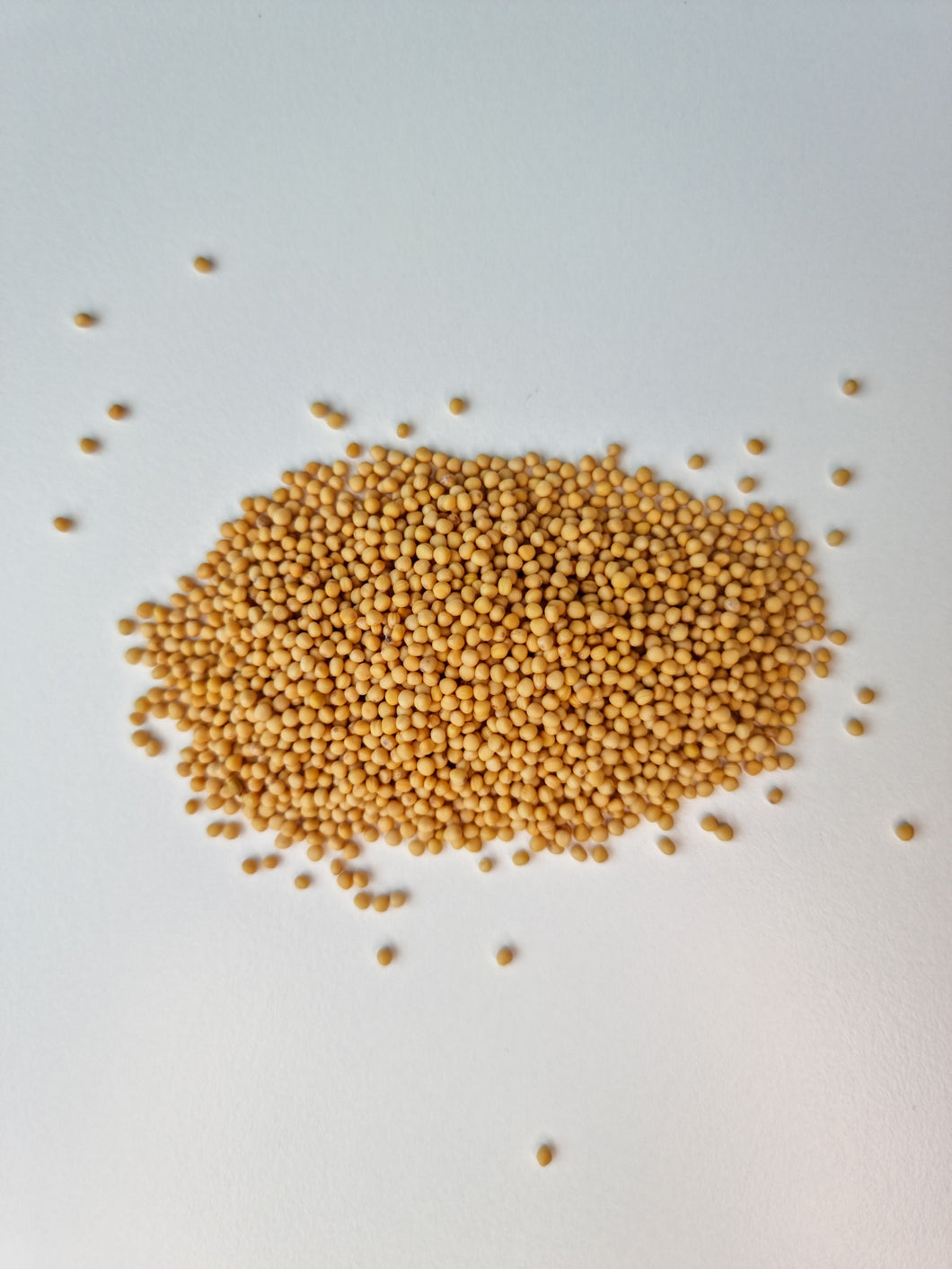 Yellow Mustard Seeds- Organic